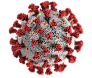 CDC illustration of COVID-19 virus showing red spikes on spherical virion