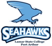 Seahawks logo with bird
